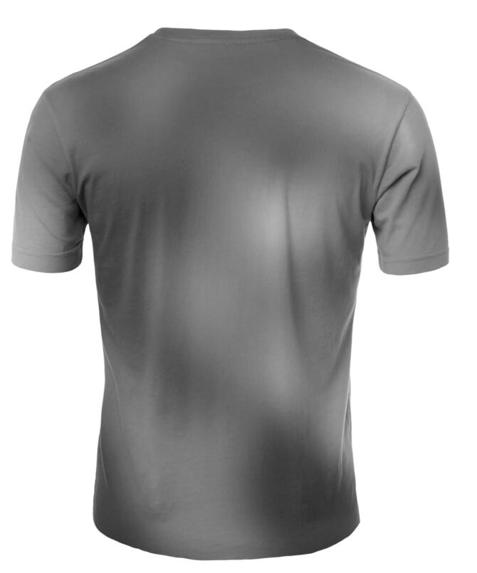 Remera Roxette