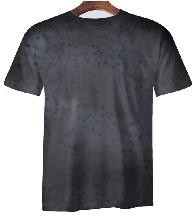 Remera Lamborghini