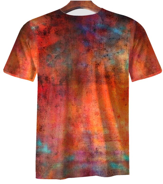 Remera  The Doors