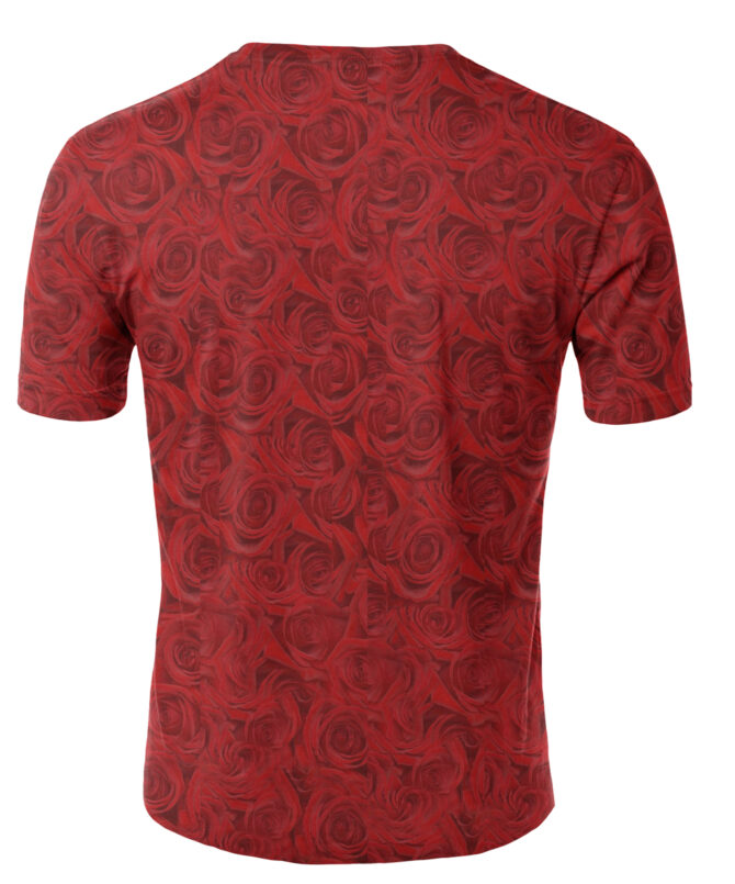 Remera Virgen De Guadalupe