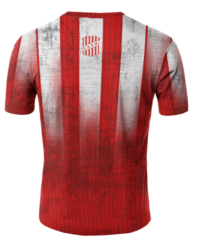 Remera San Martin De Tucumán