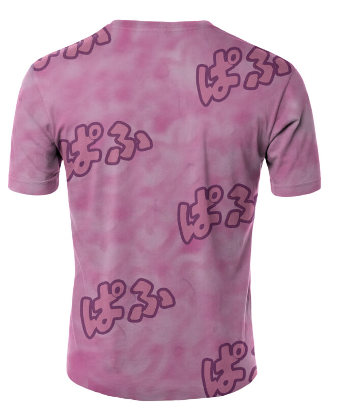 Remera Maestro Roshi Dragon Ball