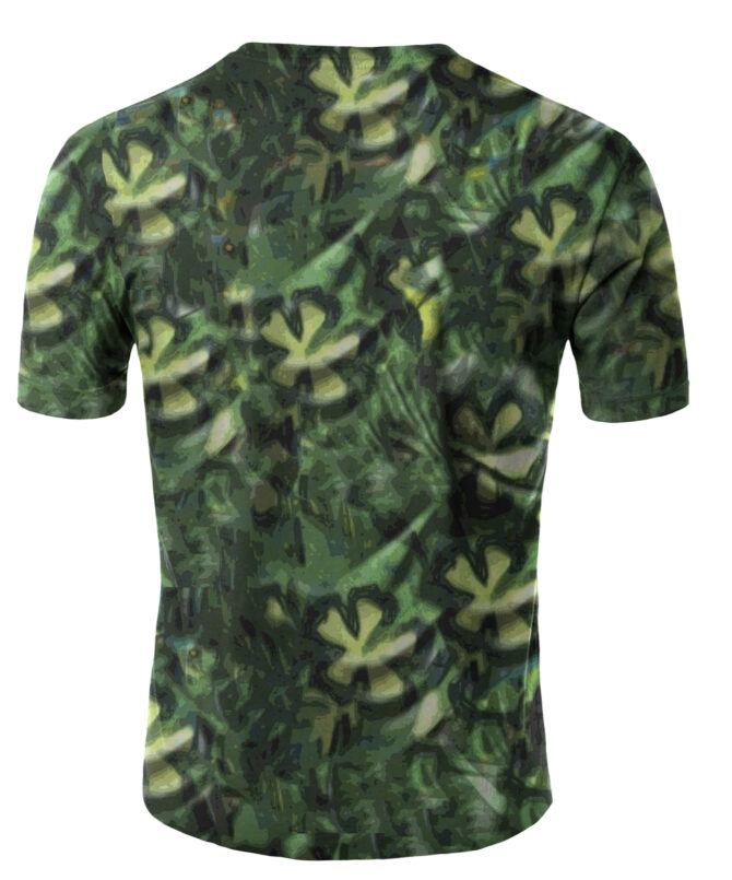 Remera Maestro Roshi
