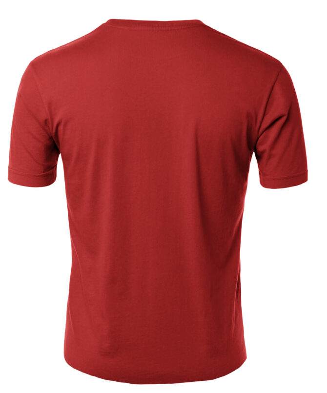 Remera Double Dragon