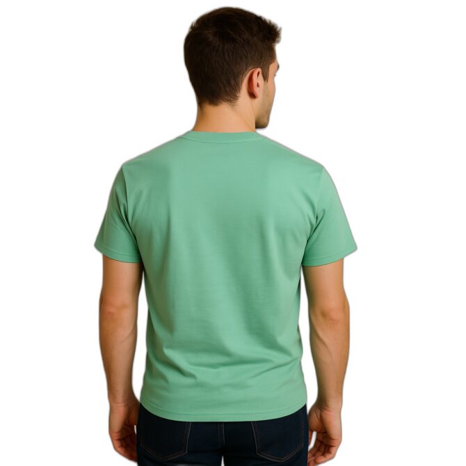 Remera Pokémon
