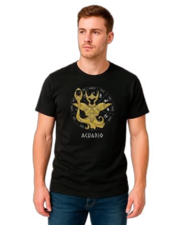 Remera Saint Seiya Acuario